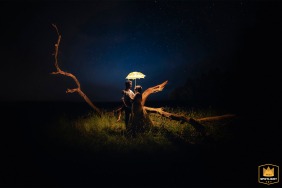 In Gironde, two lovers stand beneath a starry sky beside a large fallen tree branch, sharing an umbrella and savoring a quiet, romantic evening surrounded by nature.